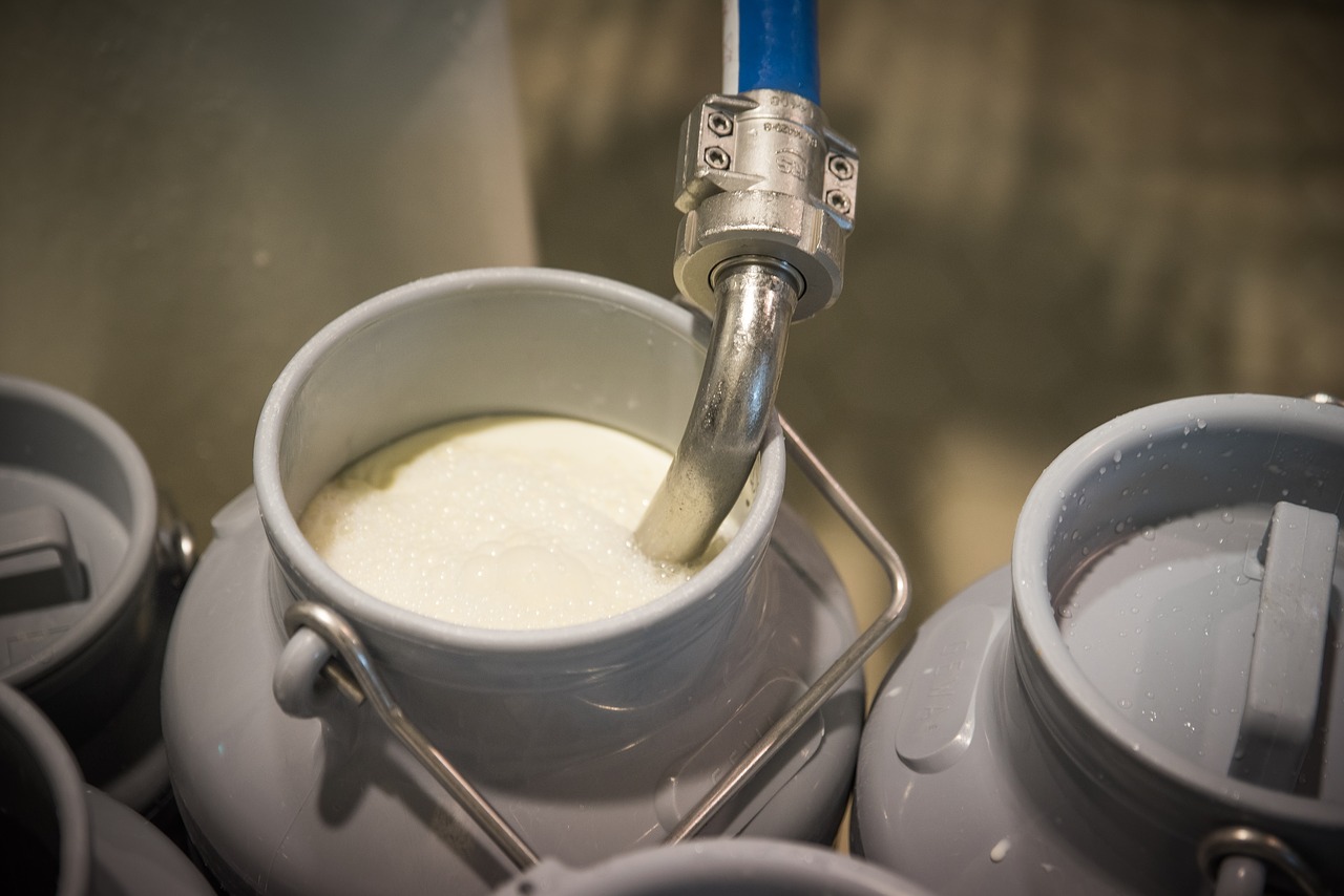 Já desapareceram das cozinhas modernas, mas foram muito úteis: lembra-se dos utensílios de cozinha das nossas avós?