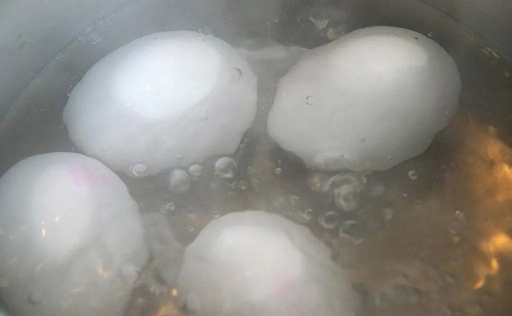 Você coloca ovos COZIDOS na geladeira? Esse DETALHE é crucial para sua saúde!