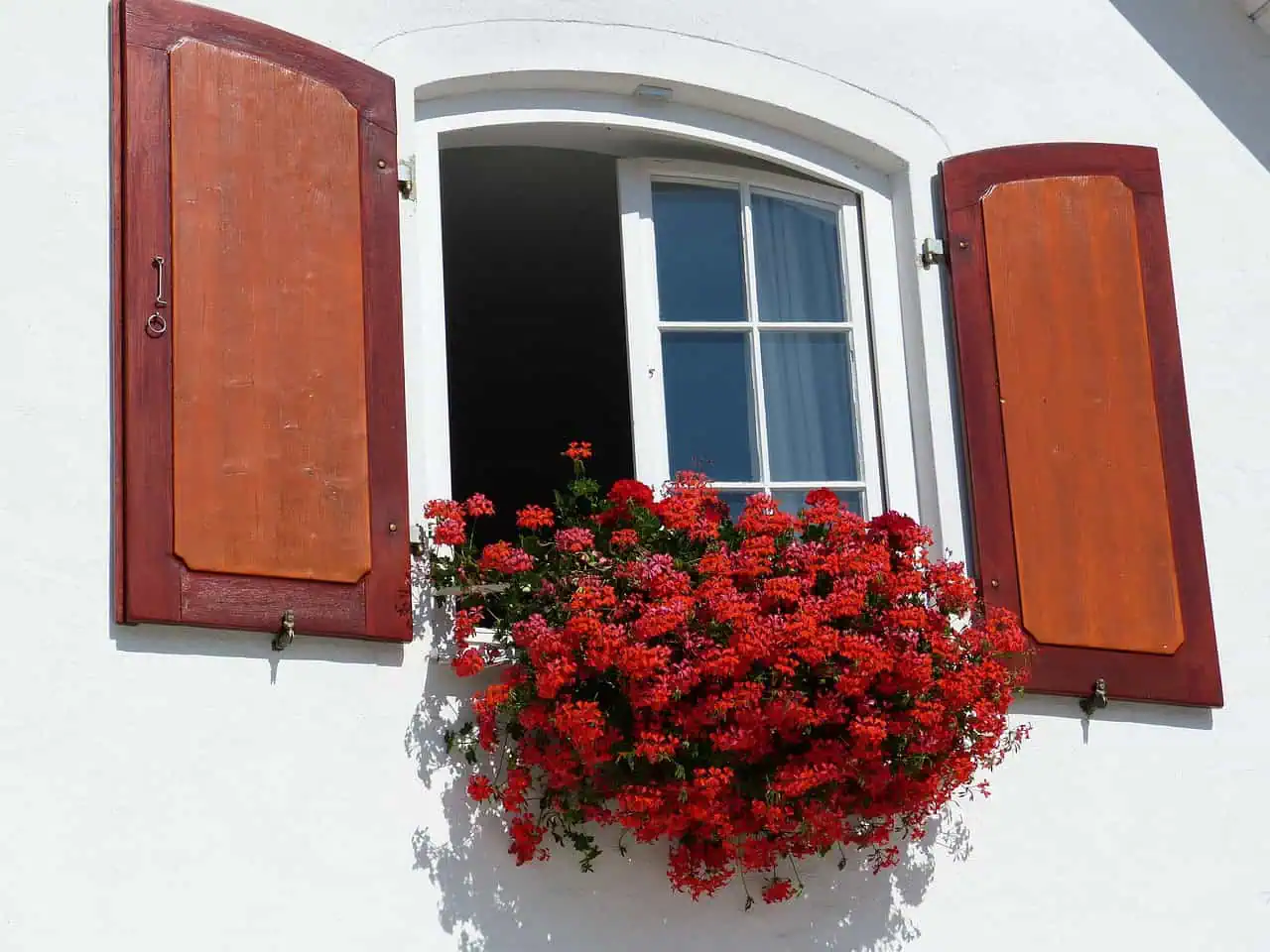 Limpe perfeitamente as janelas sem deixar marcas: um truque engenhoso que economiza tempo